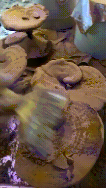 現(xiàn)在我真的連泥都不會(huì)了，也沒有什么特長。.gif