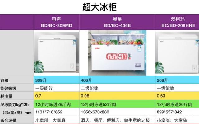大容量的冰柜有哪些推薦.jpeg