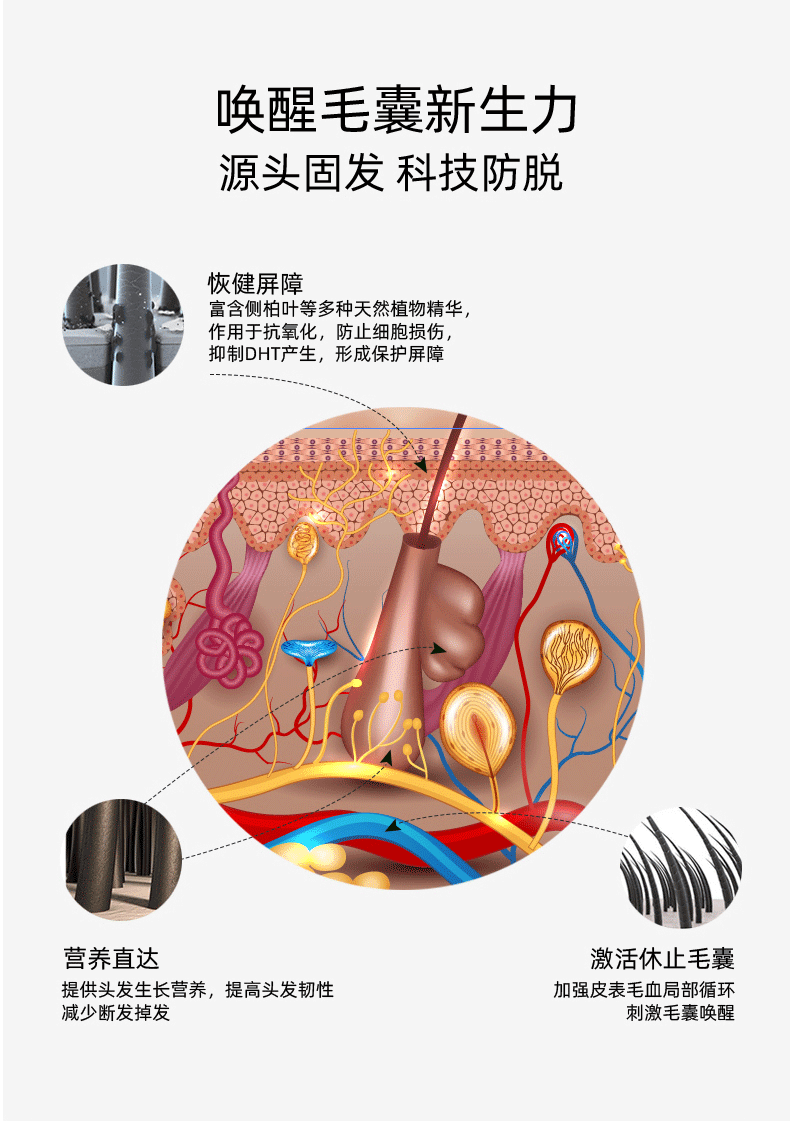 喚醒毛囊.gif