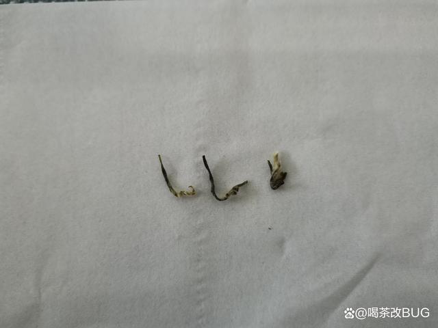 碧螺春的蜜蜂腿、滿身毛、銅絲條.jpeg